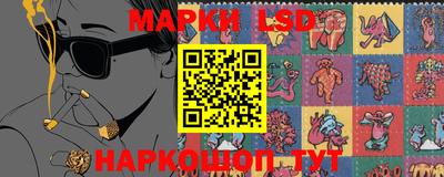 индика Будённовск