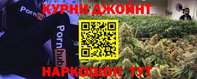 гидра Бузулук