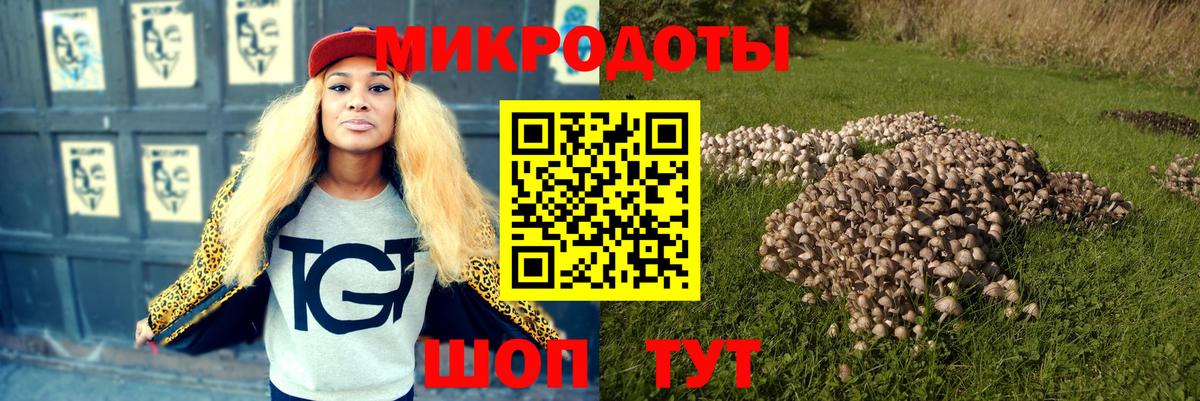 Псилоцибиновые грибы Cubensis  Псилоцибиновые грибы Psilocybine cubensis  Джанкой 